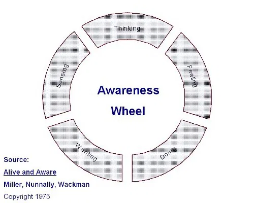 How to become self-aware in 20 minutes. Mindfulness practice.
